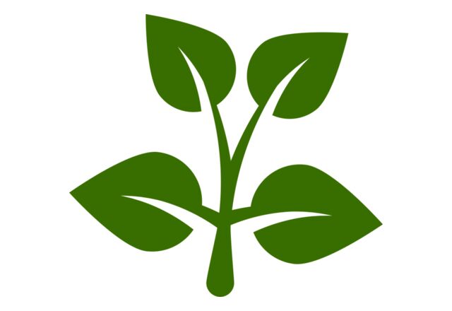 15 Leaves Thumbnail