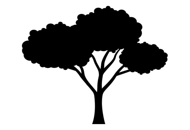 40 Tree Thumbnail