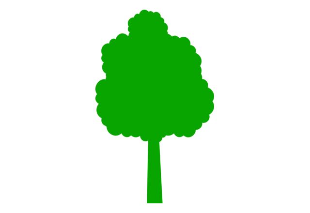 41 Tree Thumbnail