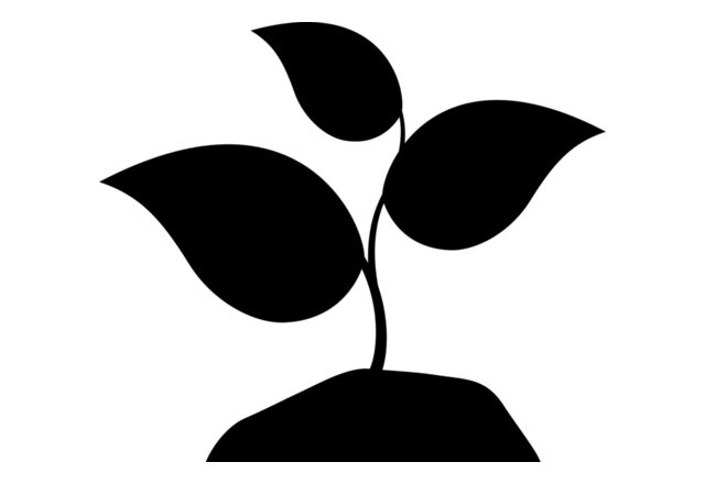 42 Plant Thumbnail