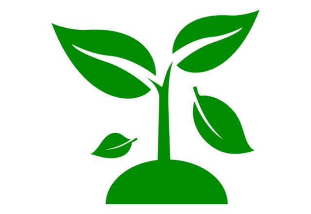 48 Plant Thumbnail