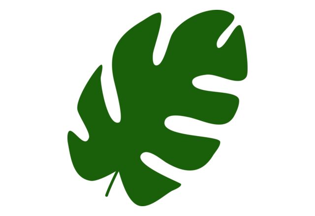 49 Leaf Thumbnail