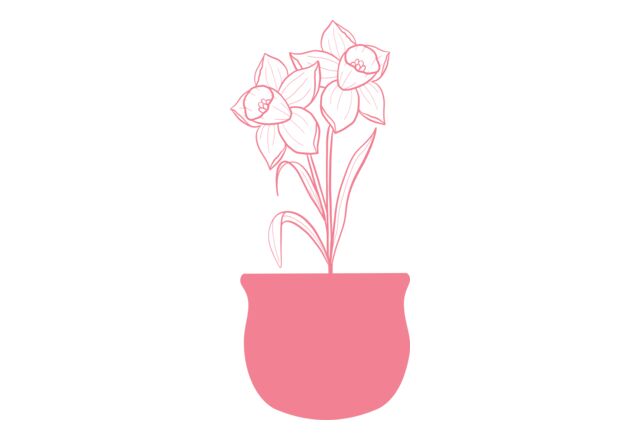 Flowers 4 Thumbnail