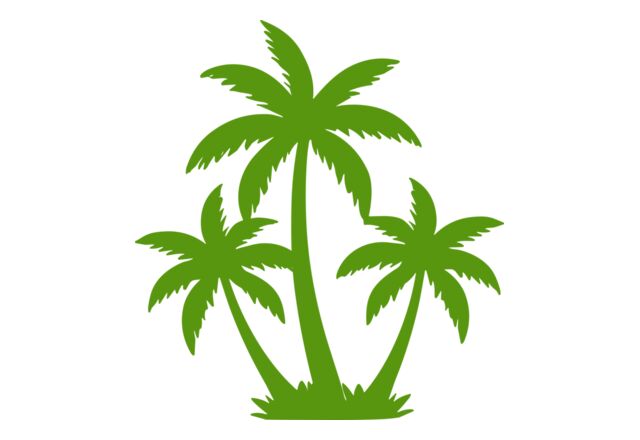 Coconut Tree Thumbnail