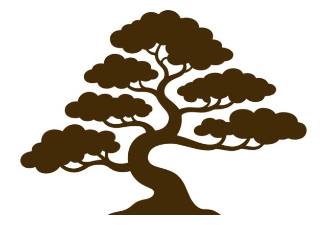 Tree Plant Thumbnail