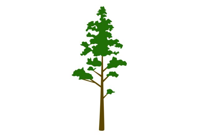 Tree Plant 8 Thumbnail