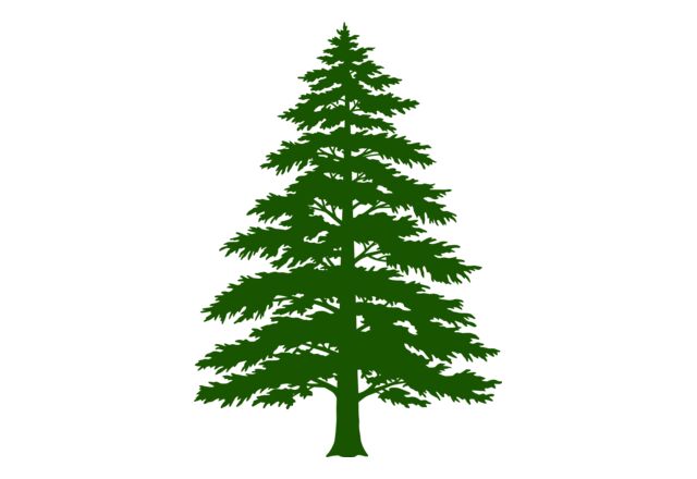Tree Plant 3 Thumbnail