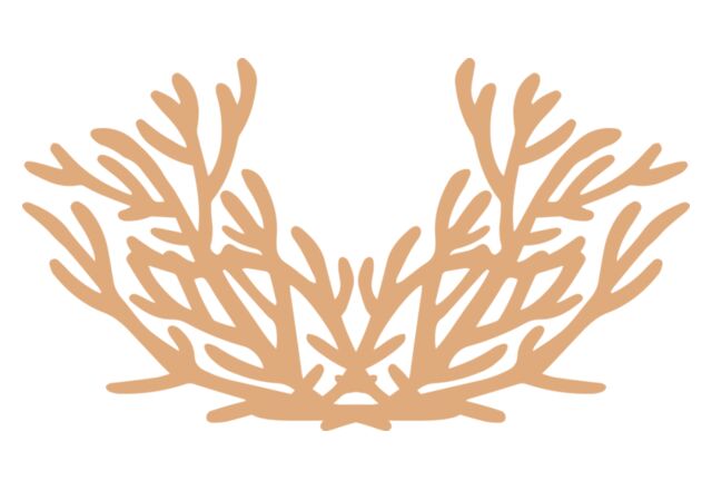 Sea Plants Thumbnail