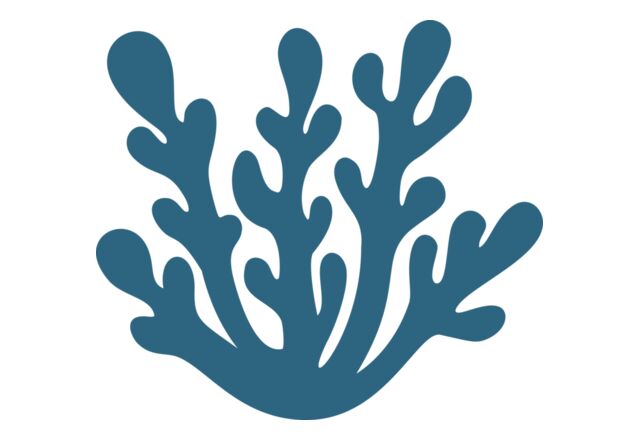 Sea Plants 4 Thumbnail
