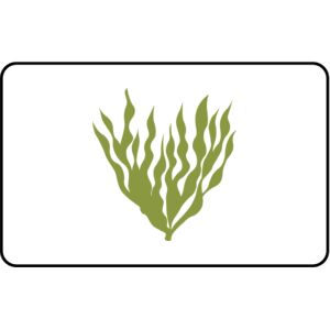Name Badge Thumbnail