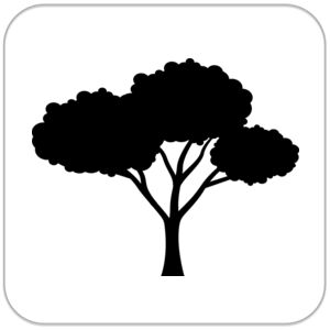 Mouse Pad  Thumbnail