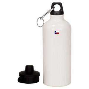 20 oz Aluminum Water Bottle with Carabiner Thumbnail