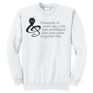 Unisex Core Fleece Crewneck Sweatshirt-hamcation regular logo Thumbnail